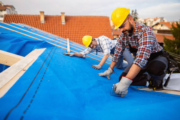 Best Residential Roofing Contractor  in Nashville, GA
