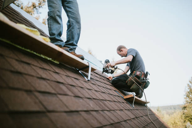 Best Residential Roofing Contractor  in Nashville, GA